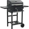 vidaXL Houtskoolbarbecue met onderplank zwart