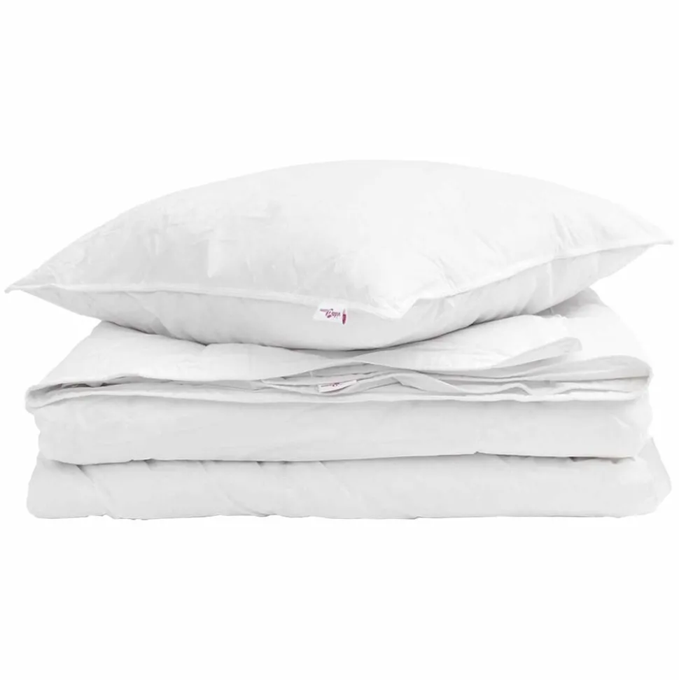 vidaXL 2-in-1 Dekbed met kussen 2 pcs Wit Donsveertjes