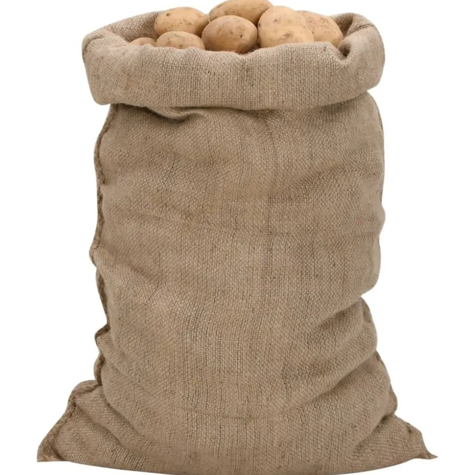 vidaXL Jutezakken 5 stuks 340 g/m² 60x105 cm 100% jute