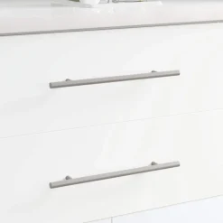 vidaXL Kasthandgreep 2 pcs Zilver 300 mm Roestvrij staal