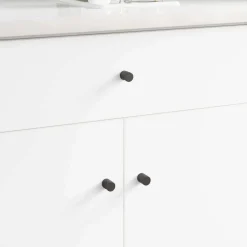 vidaXL Kastknop 2 pcs Zwart 18 x 23 mm IJzer