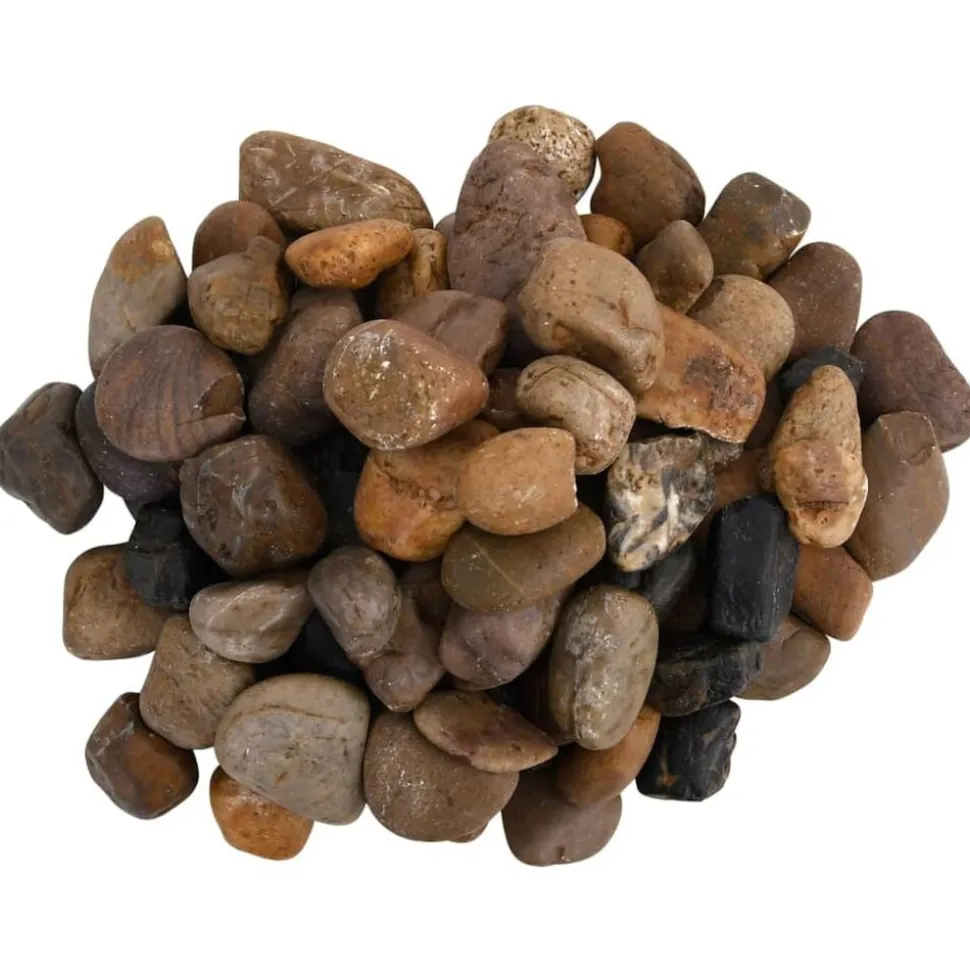 vidaXL Kiezelstenen gepolijst 2-5 cm 10 kg meerkleurig