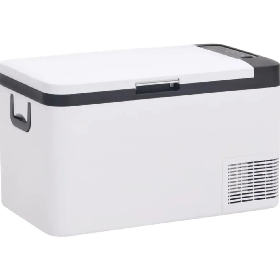 vidaXL Koelbox met handvat 18 L PP & PE zwart en wit