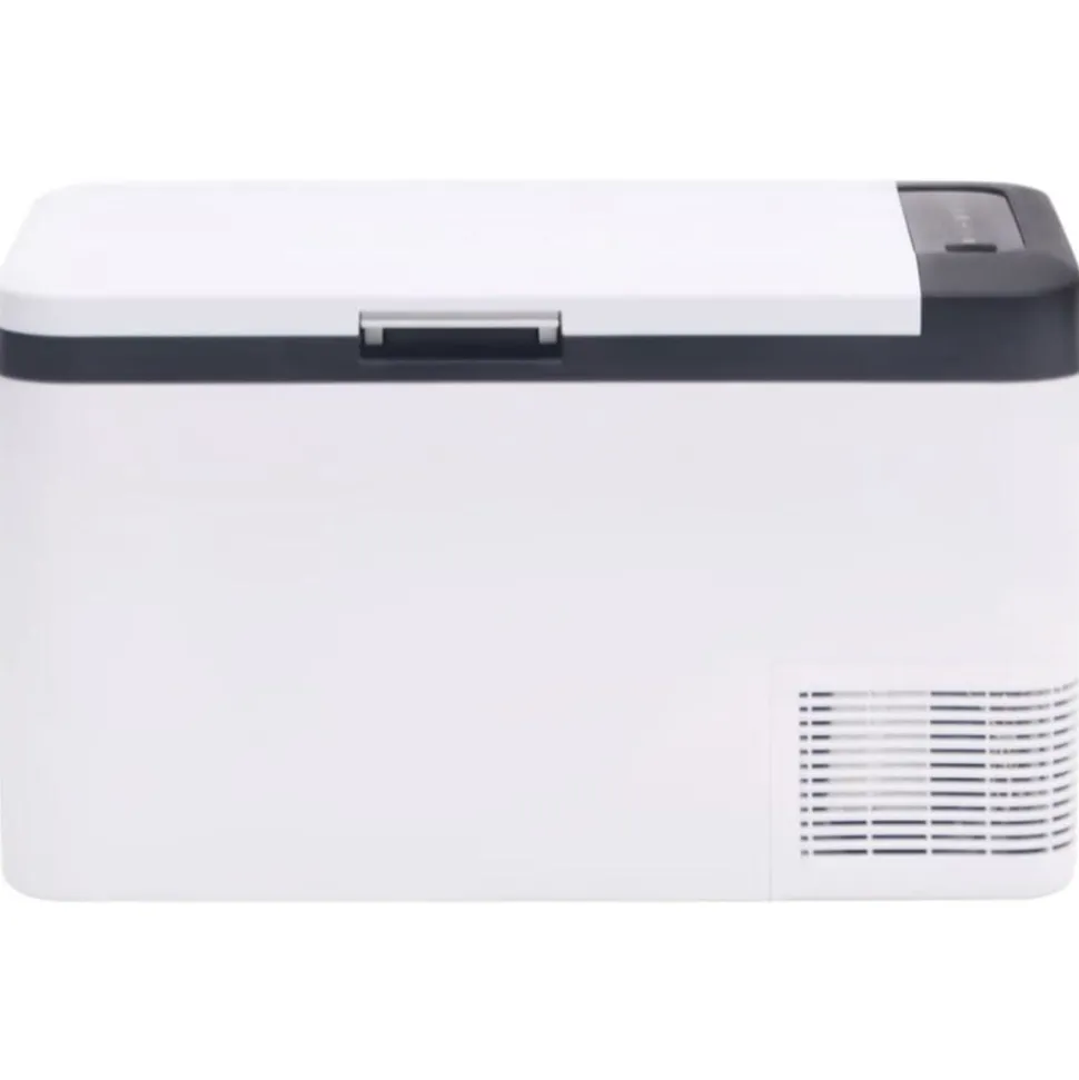 vidaXL Koelbox met handvat 18 L PP & PE zwart en wit