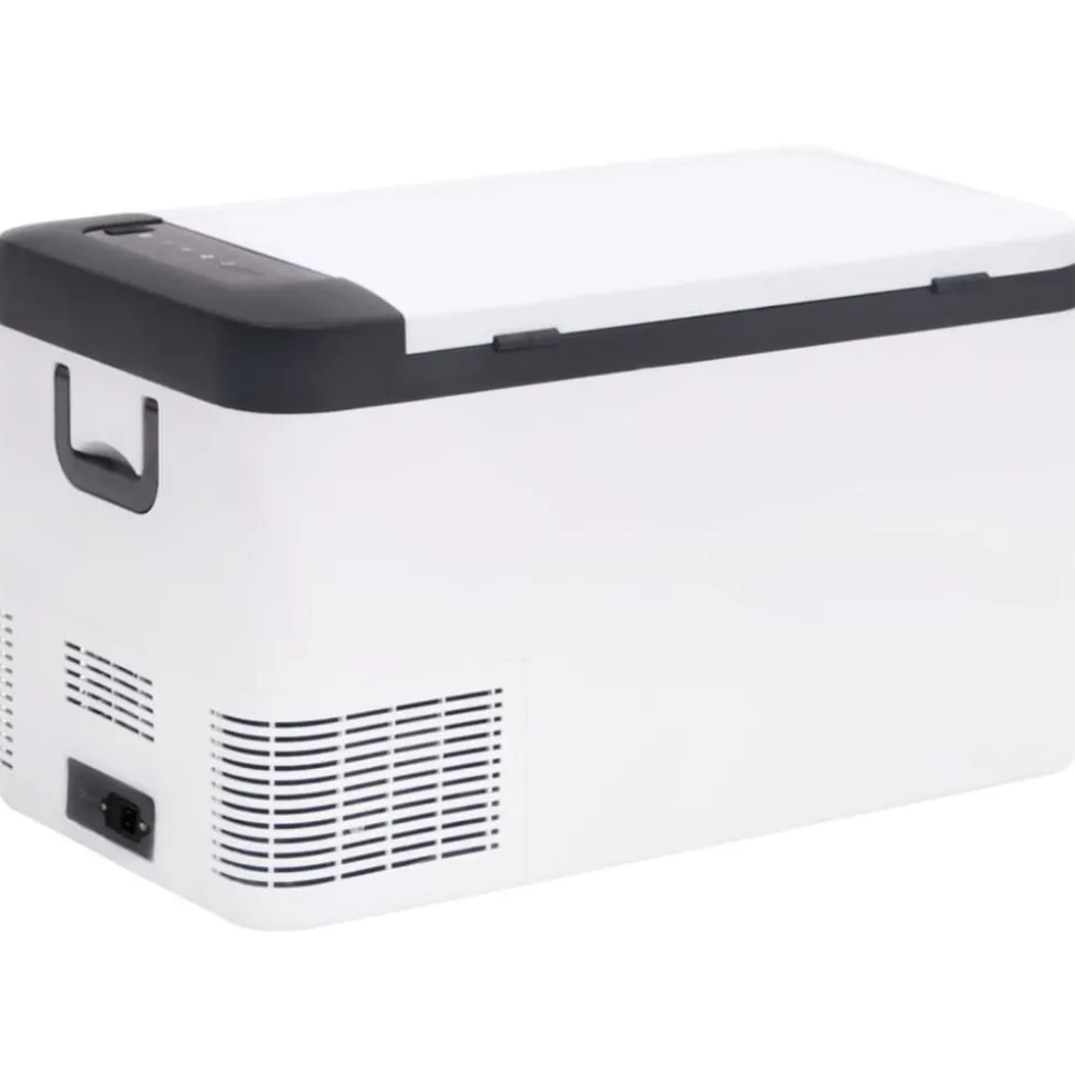 vidaXL Koelbox met handvat en adapter 18 L PP & PE zwart en wit