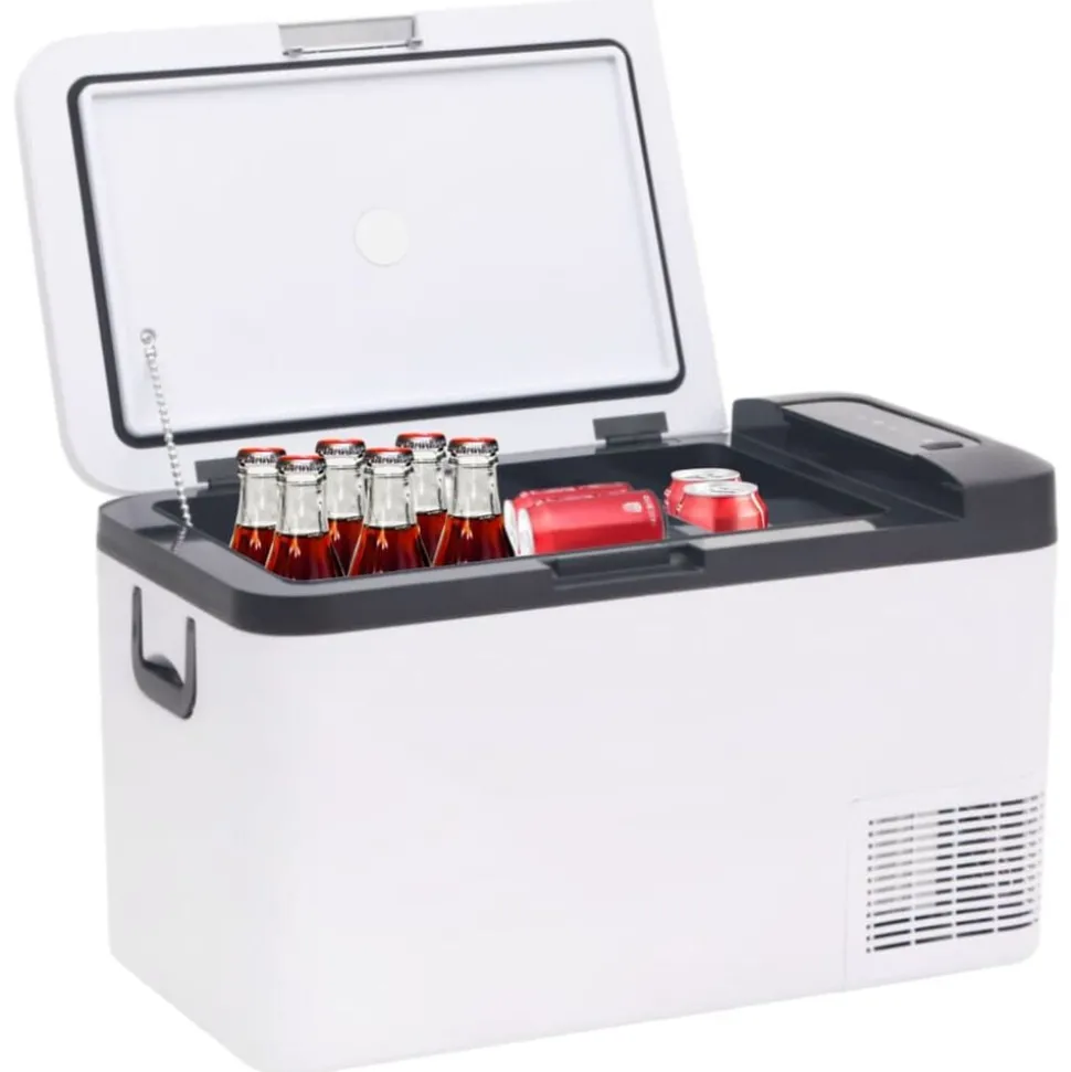 vidaXL Koelbox met handvat en adapter 25 L PP & PE zwart en wit