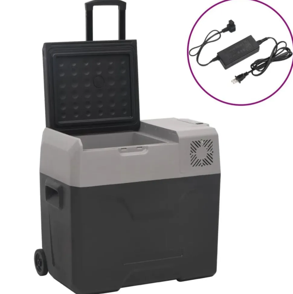 vidaXL Koelbox met wielen en adapter 30 L polypropeen zwart en grijs