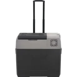 vidaXL Koelbox met wielen en handvat 30 L polypropeen zwart en grijs