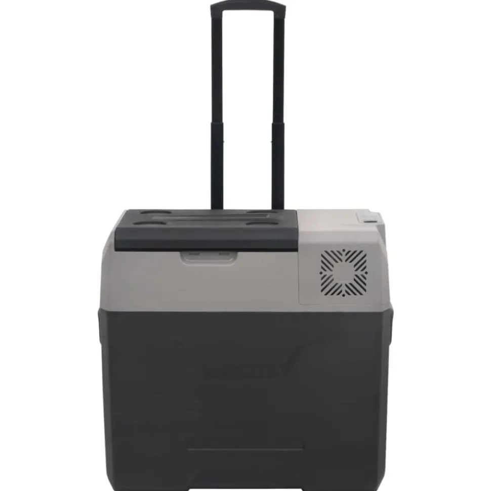 vidaXL Koelbox met wielen en handvat 30 L polypropeen zwart en grijs