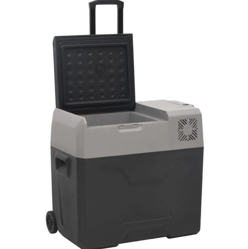 vidaXL Koelbox met wielen en adapter 50 L polypropeen zwart en grijs