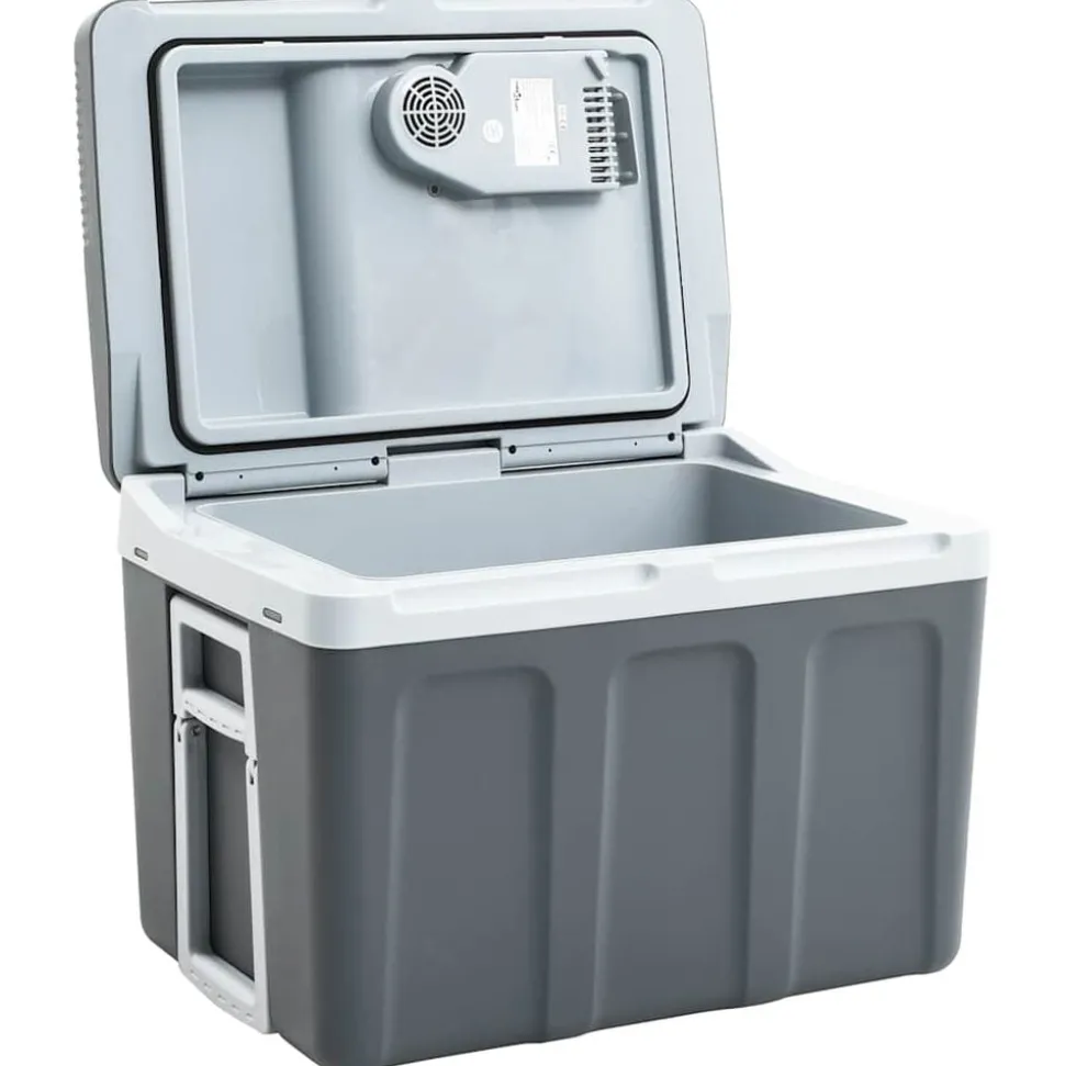 vidaXL Koelbox thermo-elektrisch draagbaar 12 V 230 V E 40 L