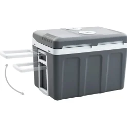 vidaXL Koelbox thermo-elektrisch draagbaar 12 V 230 V E 40 L