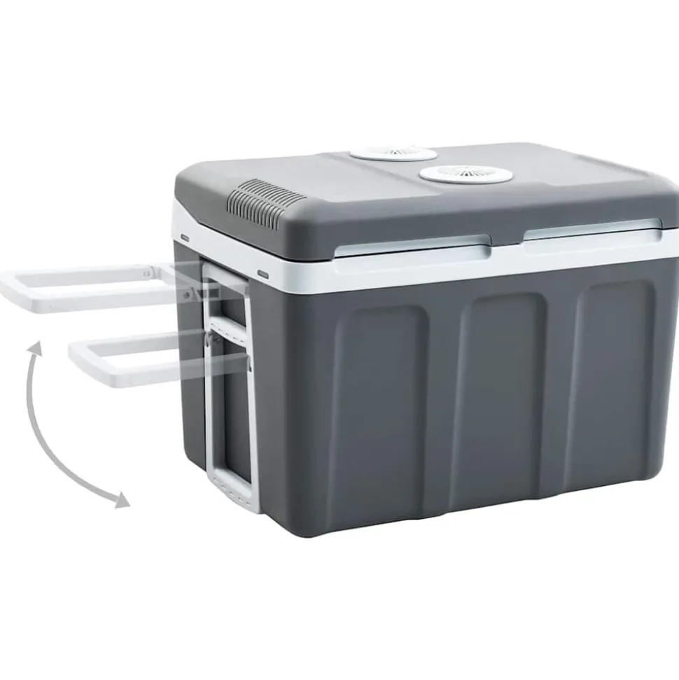 vidaXL Koelbox thermo-elektrisch draagbaar 12 V 230 V E 40 L