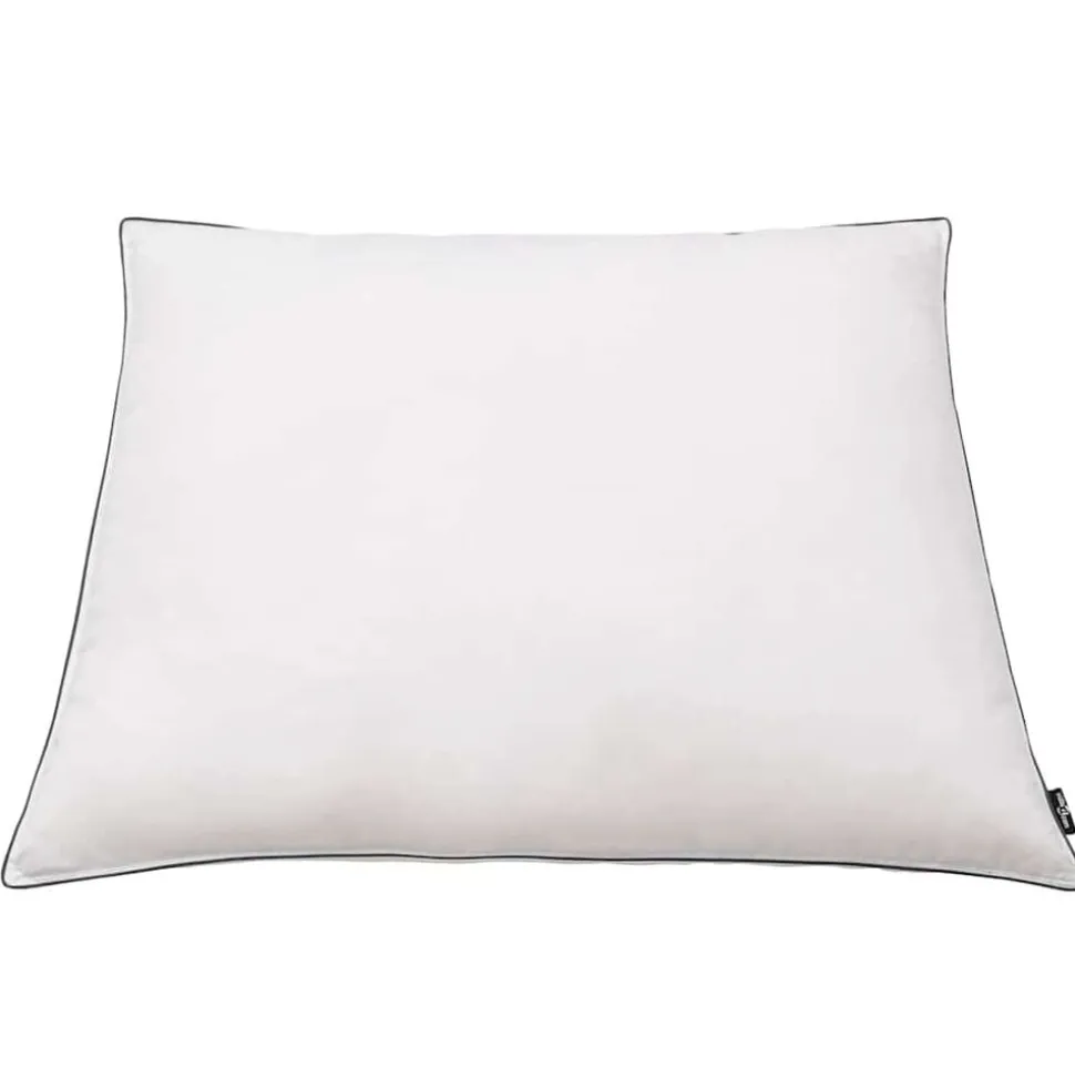 vidaXL Kussens 2 st licht 80x80 cm dons-/verenvulling wit