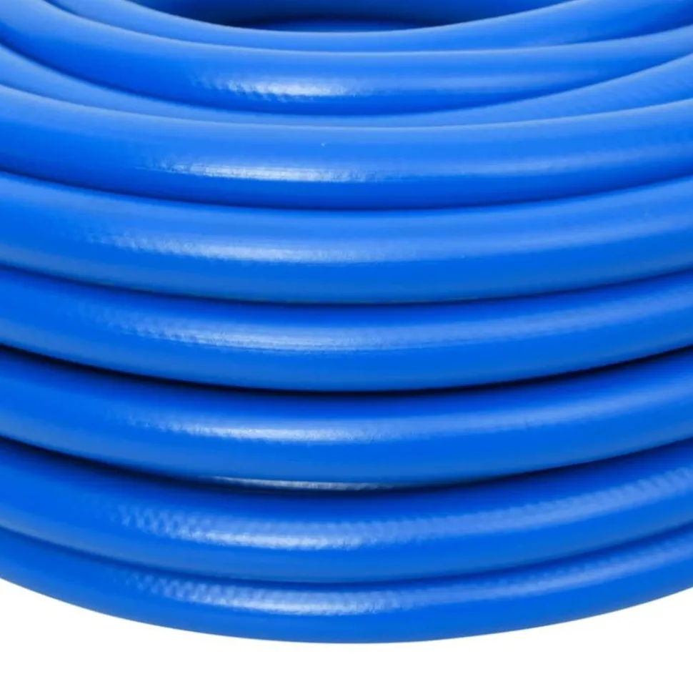 vidaXL Luchtslang 0,7'' 10 m PVC blauw