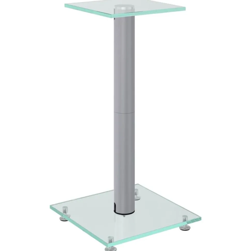 vidaXL Luidsprekerstandaards 2 st 1 pijler gehard glas zilverkleurig