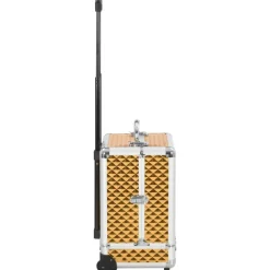 vidaXL Make-up trolley 35x29x45 cm aluminium goudkleurig