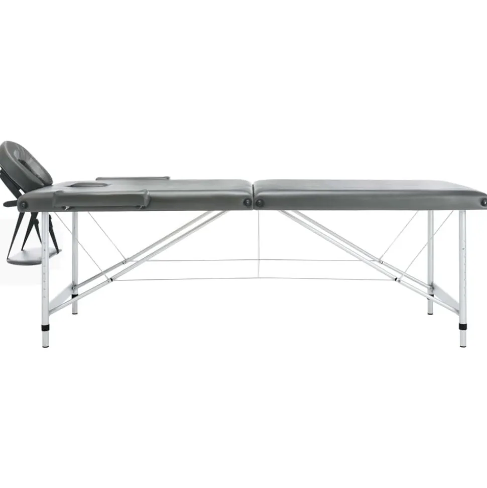 vidaXL Massagetafel met 2 zones 186x68 cm aluminium frame antraciet