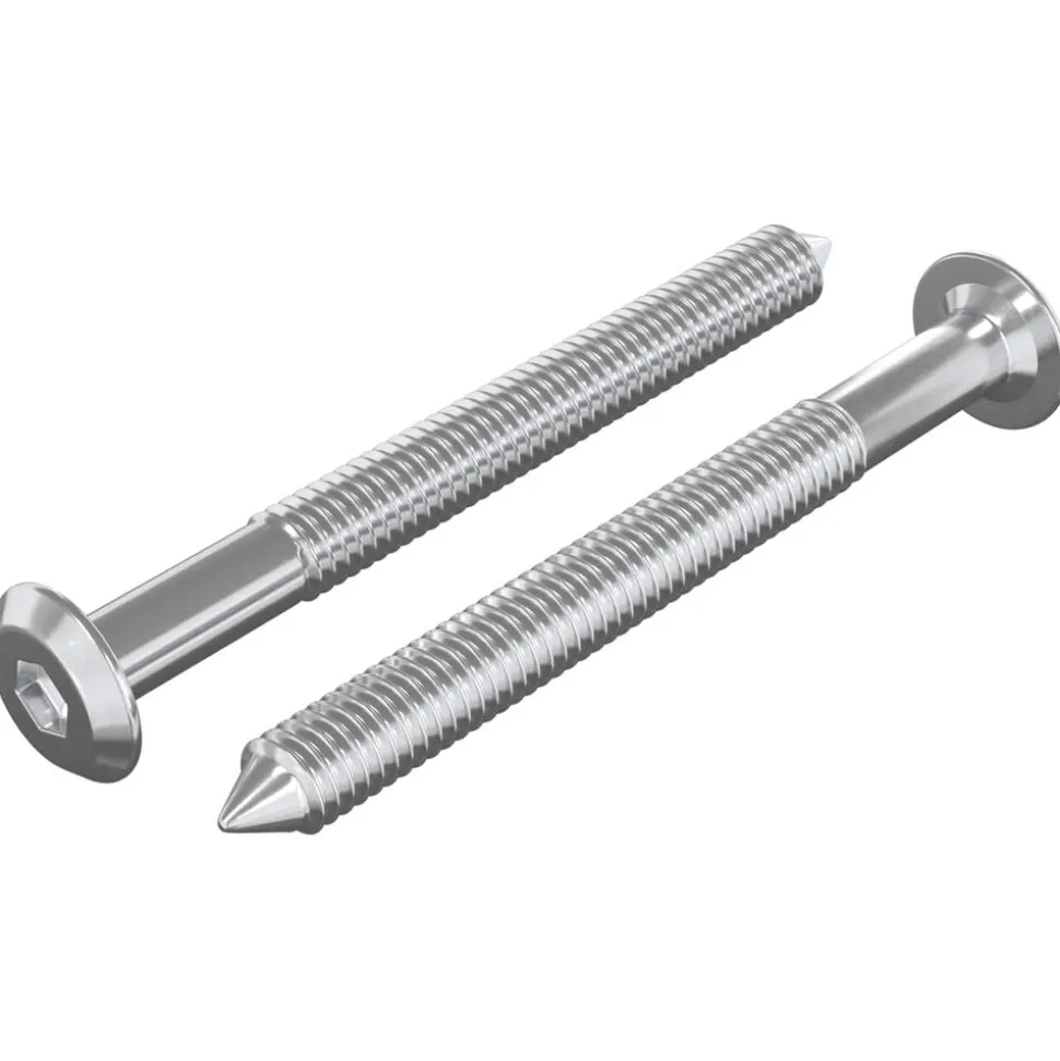 vidaXL Meubelschroeven 2 pcs Zilver M6 x 60 mm Staal