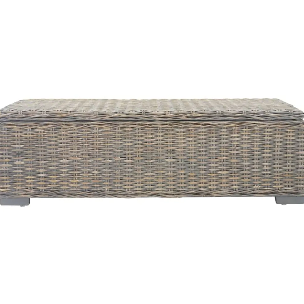 vidaXL Opbergbox 110 cm natuurlijk kubu rattan en mahoniehout grijs