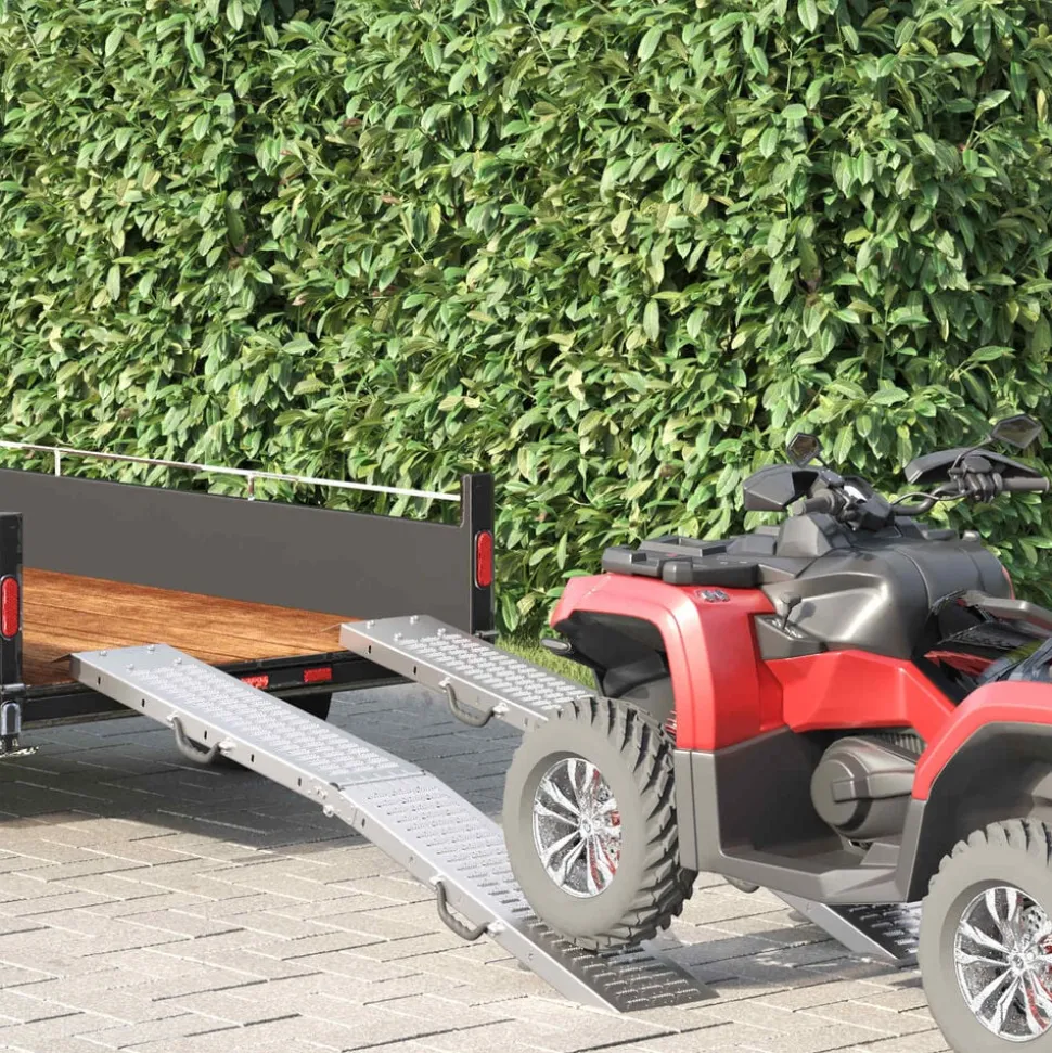 vidaXL Opvouwbare oprijplaat 200kg per oprijplaat 2 pcs Zilver