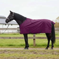 vidaXL Paardendeken Donkergroen en Zwart 75 cm Polyester