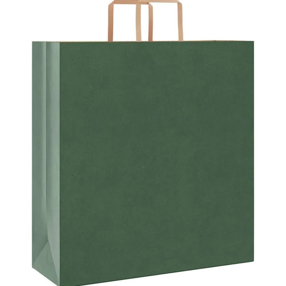vidaXL Papieren zakken 250 st met hengsels 45x17x48 cm groen