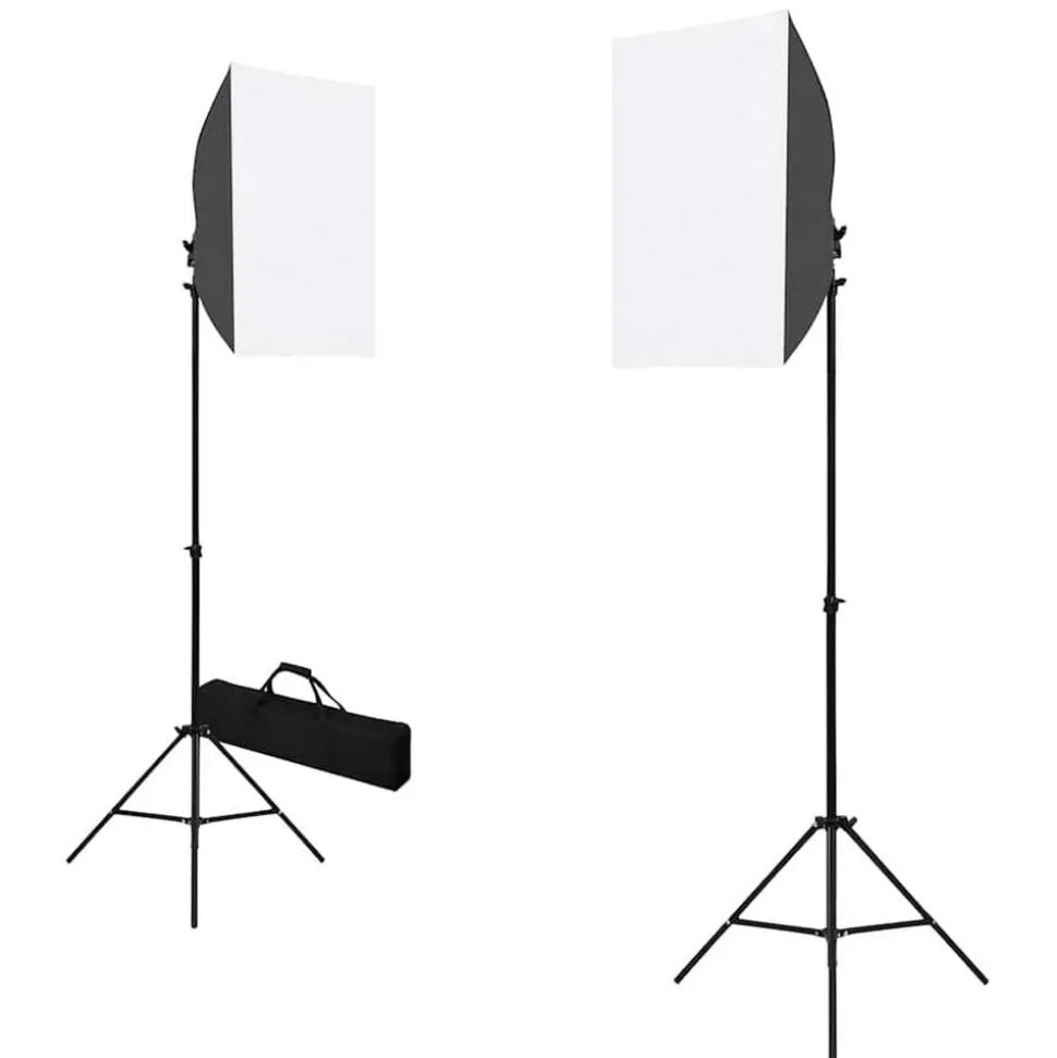 vidaXL Professionele studiolampen 2 st 40x60 cm staal zwart