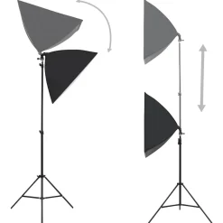 vidaXL Professionele studiolampen 2 st 40x60 cm staal zwart