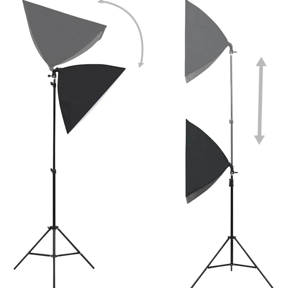 vidaXL Professionele studiolampen 2 st 40x60 cm staal zwart