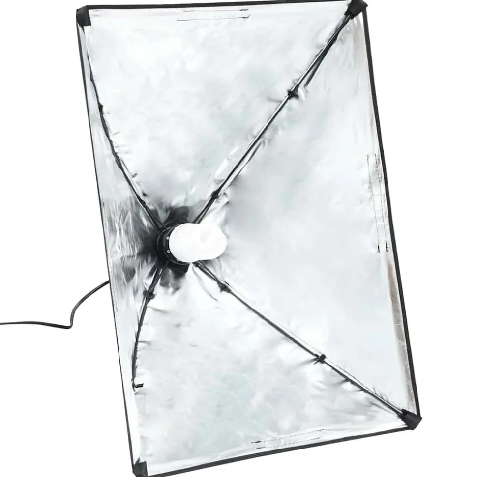 vidaXL Professionele studiolampen 2 st 40x60 cm staal zwart