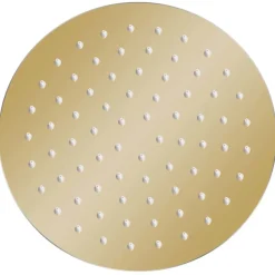 vidaXL Regendouchekop rond 20 cm roestvrij staal goudkleurig