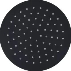 vidaXL Regendouchekop rond 20 cm roestvrij staal zwart