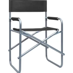vidaXL Regisseursstoelen 2 st staal zwart