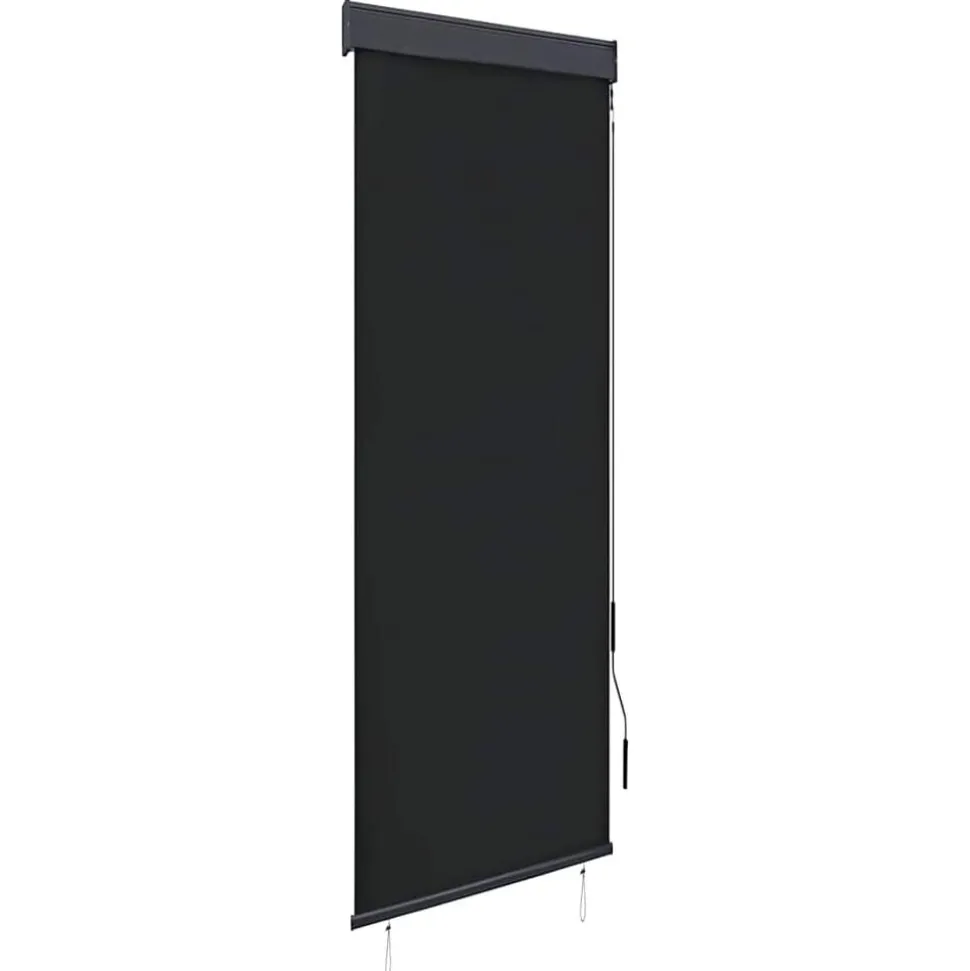 vidaXL Rolgordijn voor buiten 60x250 cm antraciet