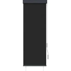 vidaXL Rolgordijn voor buiten 60x250 cm antraciet
