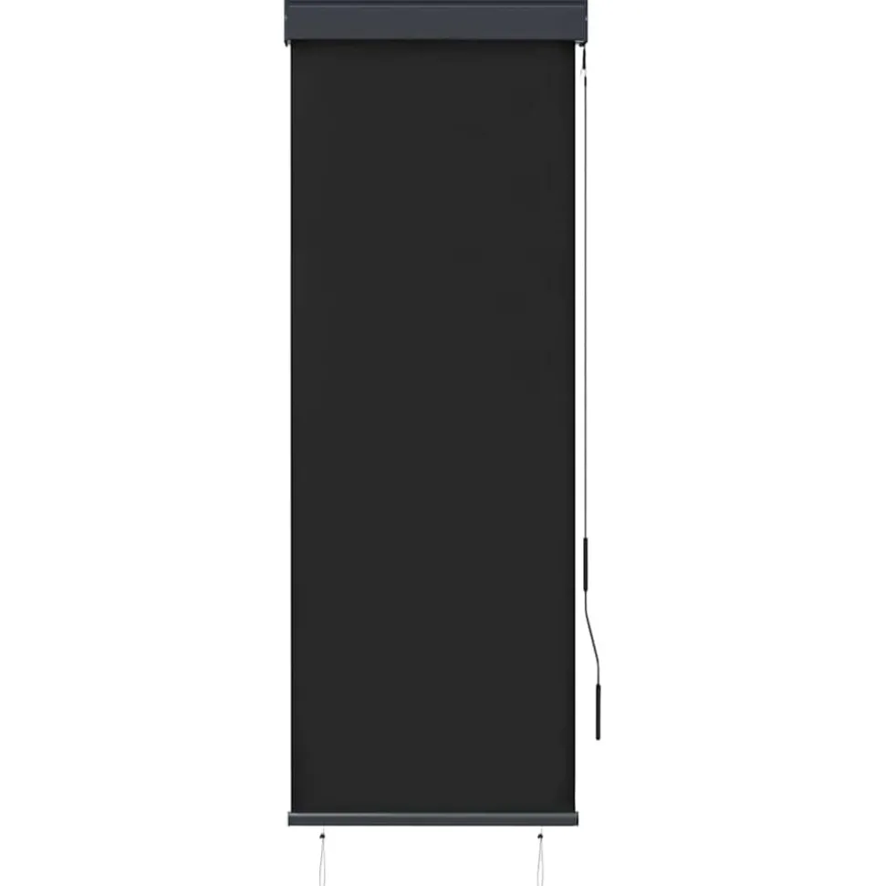 vidaXL Rolgordijn voor buiten 60x250 cm antraciet
