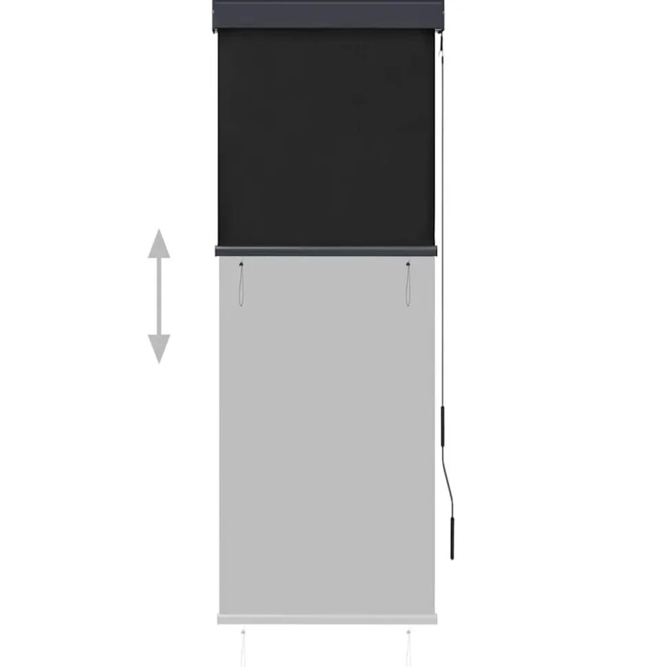 vidaXL Rolgordijn voor buiten 60x250 cm antraciet