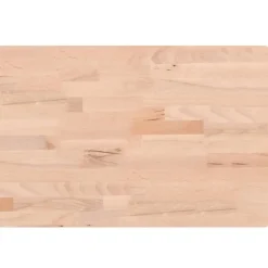 vidaXL Snijplank 60x40x4 cm massief beukenhout