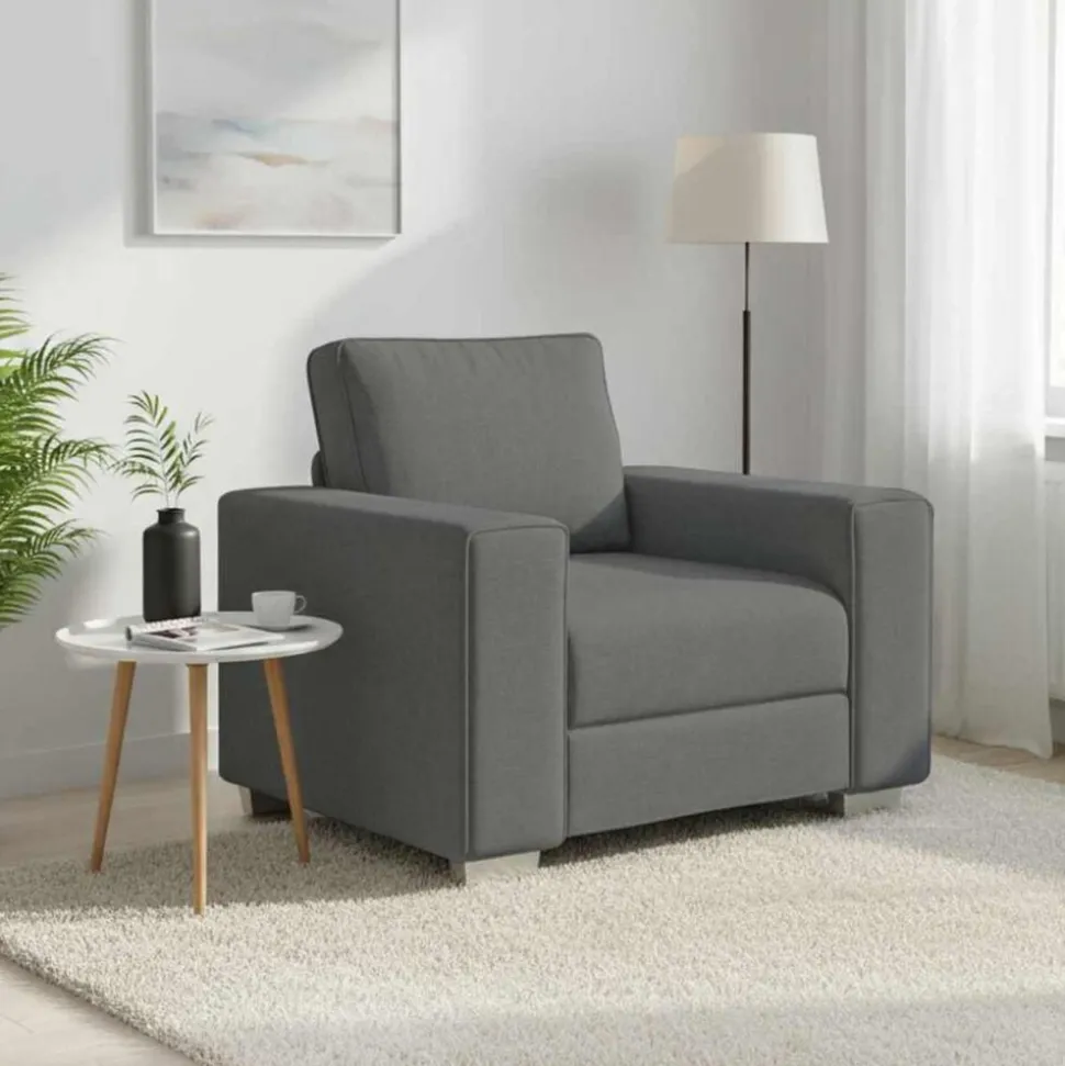 vidaXL Sofa Stoel Donkergrijs 100 cm Stof
