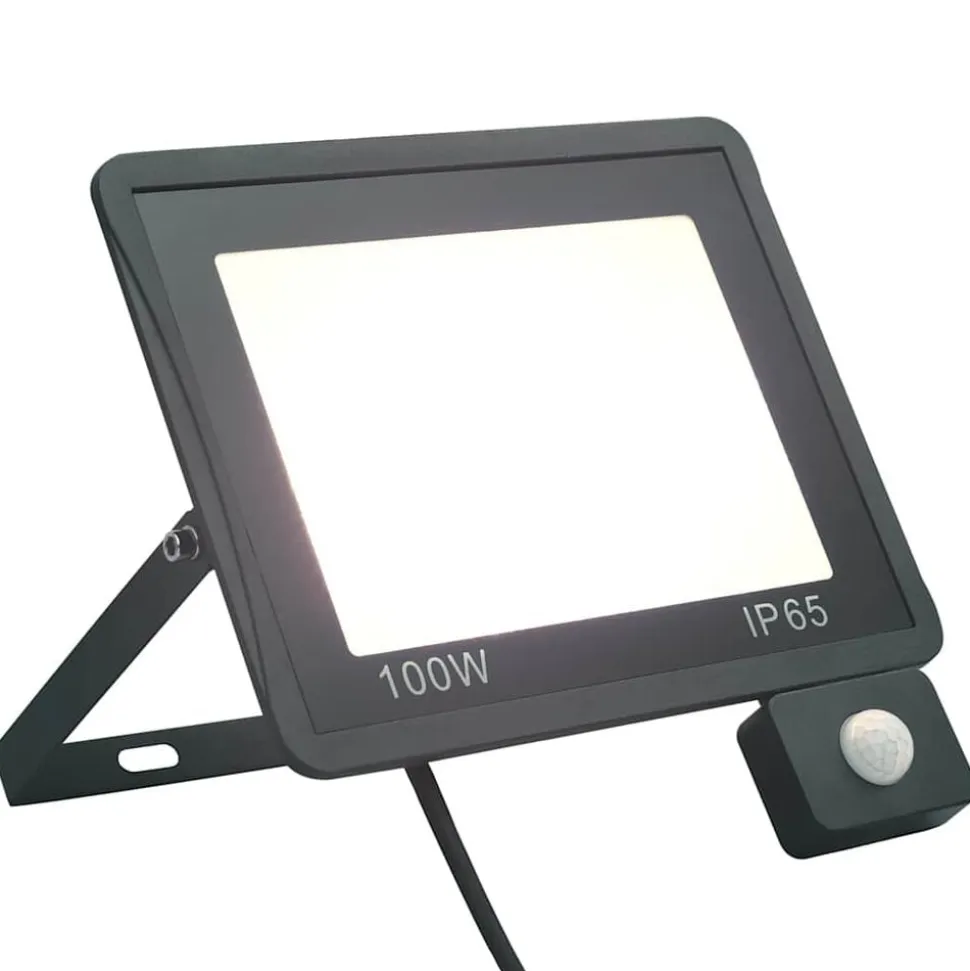 vidaXL Spotlight met sensor LED 100 W koudwit