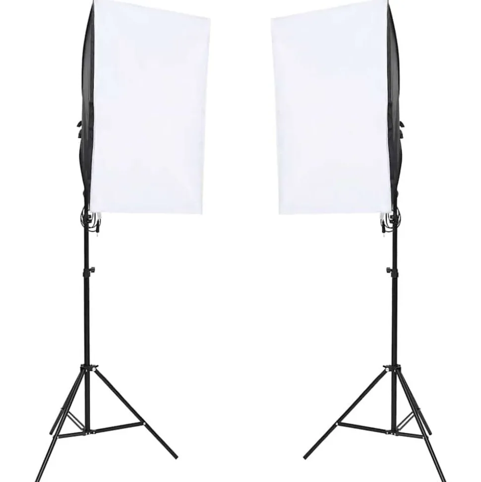 vidaXL Studiolampen 2 st professioneel 40x60 cm