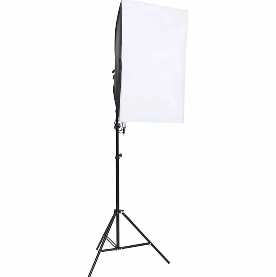 vidaXL Studiolampen 2 st professioneel 40x60 cm