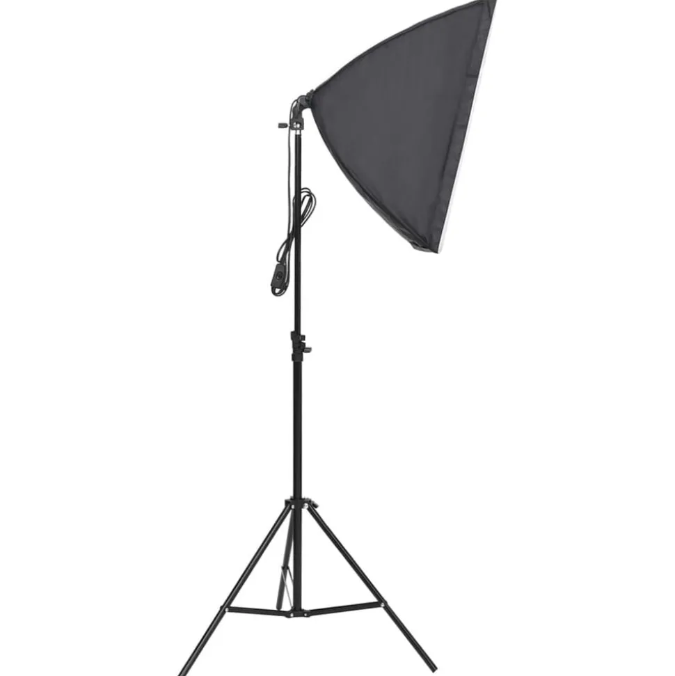 vidaXL Studiolampen 2 st professioneel 40x60 cm