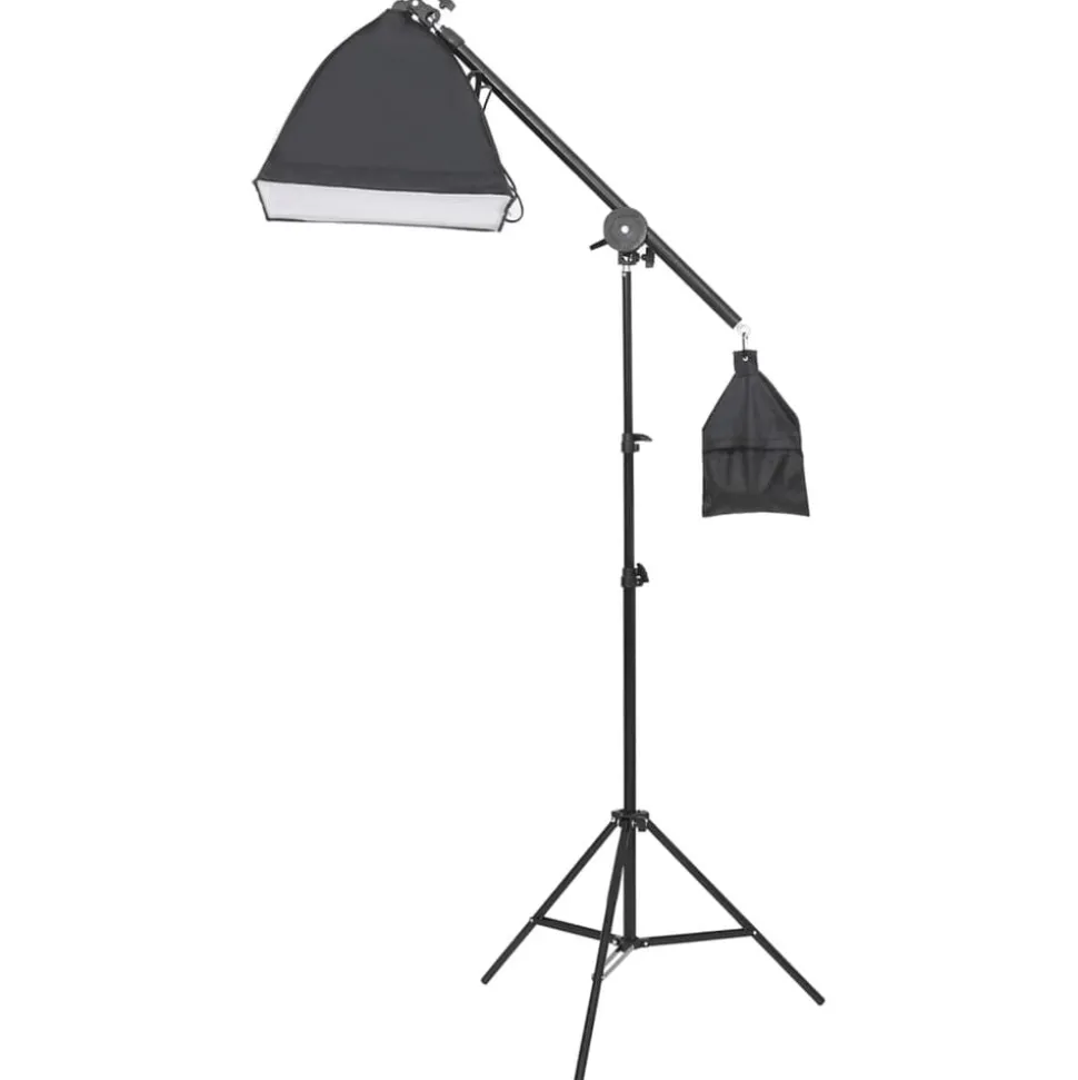 vidaXL Studioverlichtingsset met statief en softbox