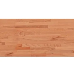 vidaXL Tafelblad rechthoekig 100x50x1,5 cm massief beukenhout