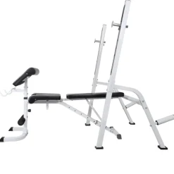 vidaXL Trainingsbank met gewichtenrek en halterset 120 kg