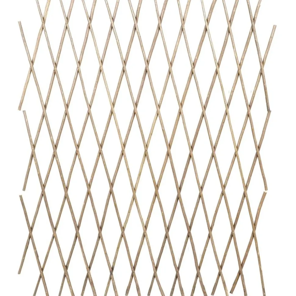 vidaXL Tuinlatwerk 5 st 180x90 cm wilg