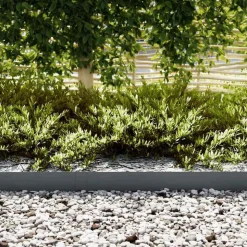 vidaXL Tuinrand 10 pcs Antraciet 100 x 0,05 x 15 cm Koudgewalst staal