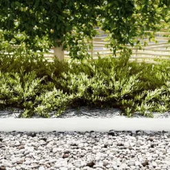 vidaXL Tuinrand 10 pcs Wit 100 x 0.05 x 20 cm Koudgewalst staal